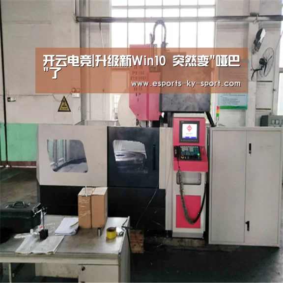 开云电竞|升级新Win10 突然变哑巴了(图4) 电竞官网