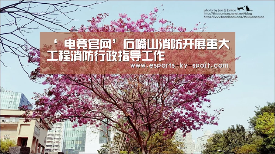 ‘ 电竞官网’石嘴山消防开展重大工程消防行政指导工作(图2) 开云电竞