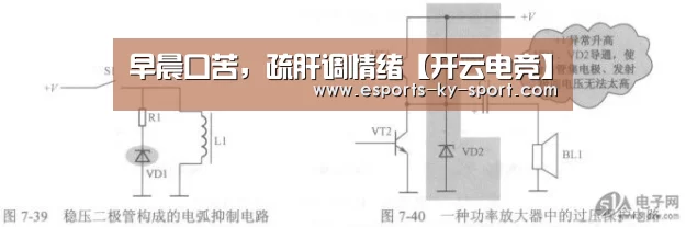早晨口苦,疏肝调情绪【开云电竞】(图2) 开云电竞
